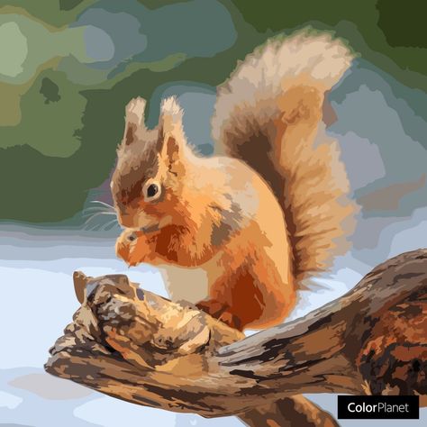 Coloring squirrel pictures with game oil painting colorplanet Easy Spring Crafts, Beginners Canvas Painting, Simple Paper Craft, Beginner Painting On Canvas, Halloween Canvas Paintings, Squirrel Painting, Canvas Painting Ideas For Beginners, Canvas Painting For Beginners, Squirrel Pictures