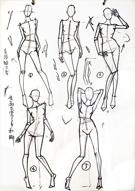 pose Figure Model Drawing, Runway Fashion Drawing, Fashion Designer Model Sketch, Outfit Model Drawing, Fashion Design Poses Sketch, Model Design Fashion Drawing, Elegant Female Pose Reference Drawing, Fashion Model Poses Drawing, Model Drawing Poses Fashion Sketches