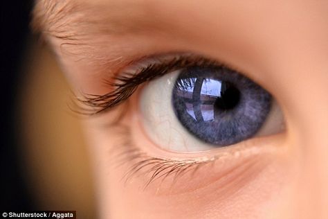 Eye colour is determined by the pigment melanin in the iris, the coloured ring surrounding... Viserra Targaryen, Iris Eye, Blue Eye Color, Dark Blue Eyes, Eyes Aesthetic, Beautiful Eyes Color, Face Ref, Eyes Color, Violet Grey