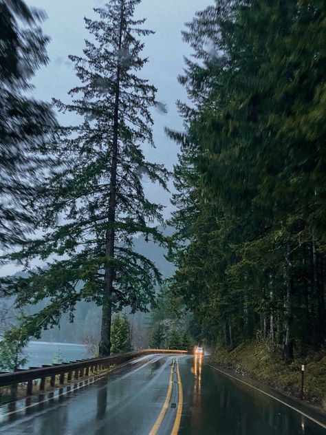 Rainy Washington Aesthetic, Olympic Peninsula Aesthetic, Forks Washington Twilight Aesthetic, Olympic Peninsula Washington, Forks Washington, Forest Road, Olympic Peninsula, Samar, Oregon Coast