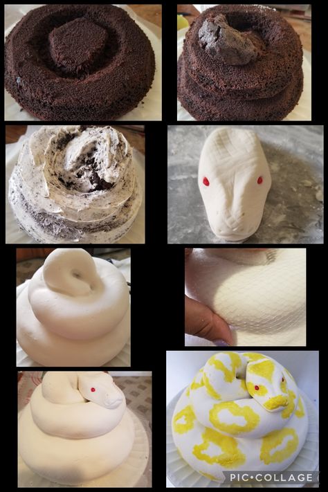 Snake Cake Topper, How To Make A Snake Cake, Snake Cake Design, Snake Themed Cake, Snake Cupcake Cake, Reptile Cake Ideas, Snake Cake Ideas, Snake Cakes For Kids, Animal Cake Designs