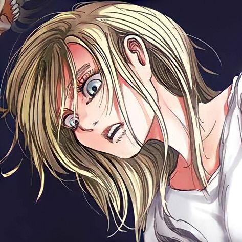 Historia Reiss, Attack On Titan Season, Anime Expo, Twitter Layouts, Manga Covers, Anime Profile, Attack On Titan Anime, Girl Icons, Cute Icons