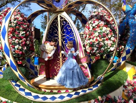 Festival Of Fantasy Parade, All The Princesses, Character Dining, Best Trip, Disney Songs, Disney Dining, Disney Springs, Travel Fun, Family Travel