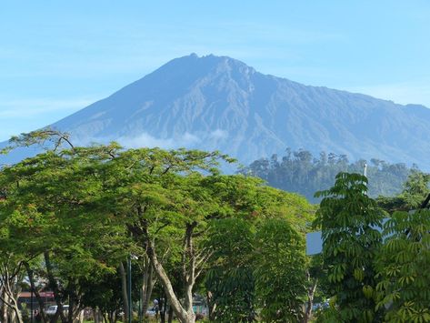 Mount Meru the perfect alternative to trekking Kilimanjaro: Jungle Theme Rooms, Environment Photography, Mount Meru, Altitude Sickness, Mount Kilimanjaro, Wild Forest, Arusha, Home Again, Jungle Theme