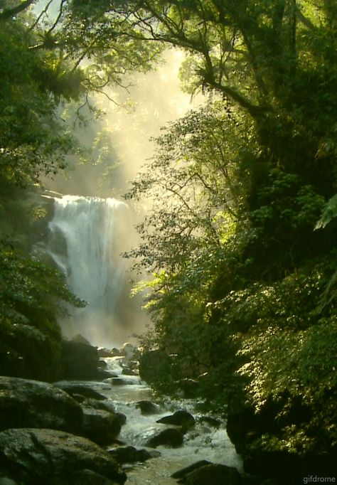 warm summer day Waterfall Gif, Nature Animated, Image Nature, Beautiful Gif, Nature Gif, Beautiful Waterfalls, Alam Yang Indah, Animated Gifs, Amazing Nature