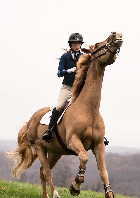 Run Wild / Kazu Makino / Garance Doré Kazu Makino, Horse Running Reference, Horse Run Cycle, Horse Fails, Horses Running Photography, Blonde Redhead, Chestnut Horses, Wild Horses Photography Running, Arabian Horse Running