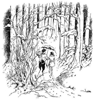 I always just loved the original illustrations of the Chronicles of Narnia. Pauline Baynes, Mr Tumnus, Snowy Woods, Chronicles Of Narnia, The Witch, Children's Book Illustration, Narnia, The Lion, Tolkien