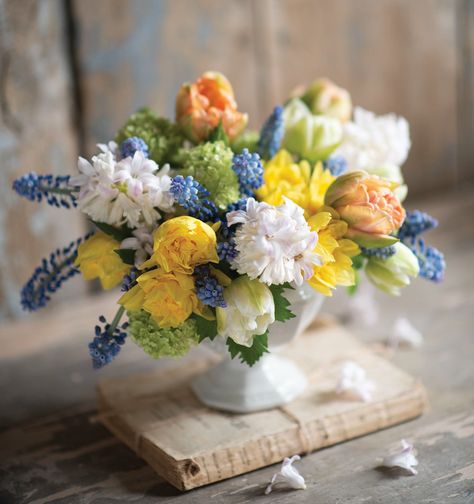 Sandra Sigman Celebrates Tulips - Flower Magazine White Hyacinth, Flower Magazine, Tulips Arrangement, Orange Tulips, French Flowers, Tulip Festival, Tulip Bouquet, Yellow Tulips, Flower Frog