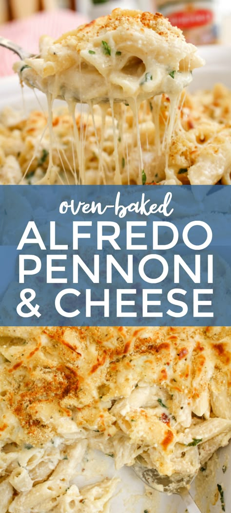 Baked Alfredo, Alfredo Pasta Bake, Cauliflower Alfredo Sauce, Ricotta Cheese Recipes, Baked Pasta Dishes, Cauliflower Alfredo, Pasta Recipes Alfredo, Ricotta Recipes, Ricotta Pasta