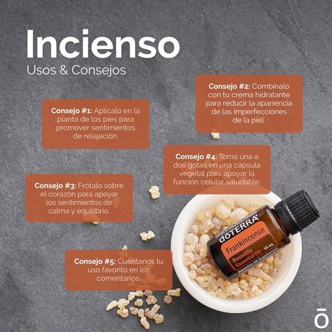 Esential Oils, Doterra Business, Doterra Oils, Doterra, Essential Oil Blends, Oil Blend, Natural Health, Aromatherapy, Essential Oils