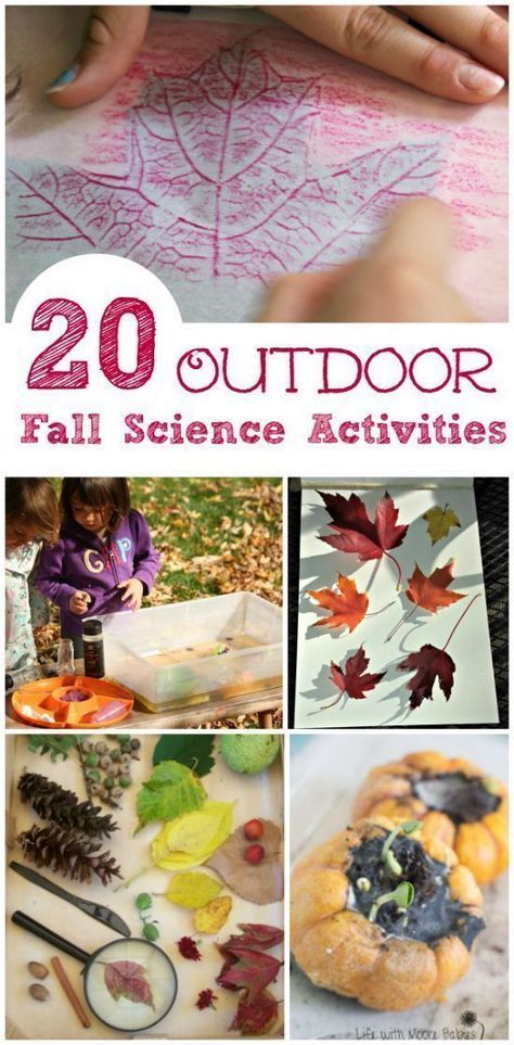 Science Activities For Elementary, Fall Science Activities, Activities For Elementary Students, Stem Activities Preschool, Fall Science, Science Stem, Halloween Science, Apple Activities, Science Activity