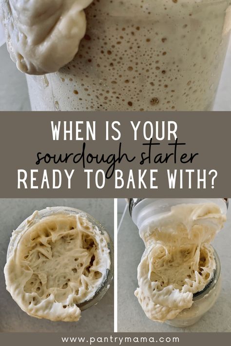 Pantry Mama, Gluten Free Sourdough Starter, Recipe Using Sourdough Starter, Sourdough Bread Starter, Dough Starter, Sourdough Starter Discard Recipe, Gluten Free Sourdough, Homemade Sourdough Bread, Bread Starter