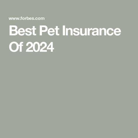 Best Pet Insurance Of 2024 Forbes Quotes, Heartworm Prevention, Dog Insurance, Insurance Benefits, Pet Wellness, Money Advice, Pet Insurance, Kittens And Puppies, Insurance Policy