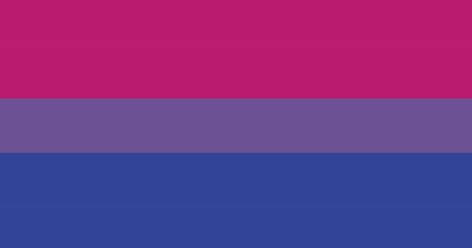 Bi Flag, Bisexual Flag, Uk News, Pride Flags, Flag, Tumblr, Purple