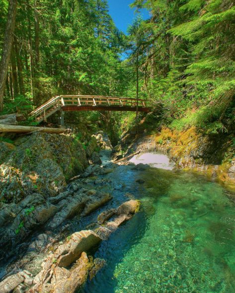 Opal Creek Oregon, Oregon Vacation, Oregon Road Trip, Oregon Travel, A Bridge, Vacation Places, Oregon Coast, Pretty Places, In The Woods