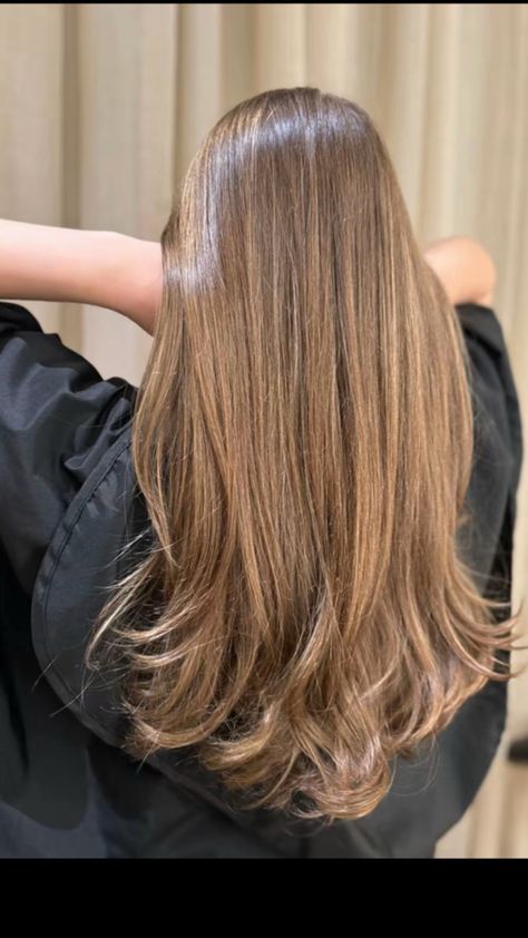 butterfly haircut, layer haircut, balayage, highli Toffee Hair Color, Highlights Brown Hair Balayage, Tiktok Slideshow, Colour Highlights, Brown Hair Looks, From Tiktok, Brown Hair Balayage, Highlights Brown Hair, Hair Color Highlights