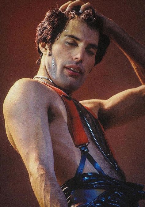 Freddie Mercury Early 70s, Freddie Mercury Pfp, Fred Mercury, Freddie My Love, Mr Fahrenheit, Queen Ii, To Love And Be Loved, Freddy Mercury, Mr Robot