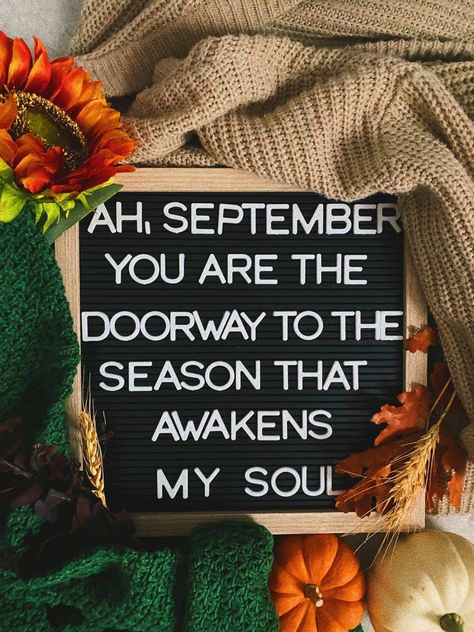 Finally, it’s September 🍂 Days And Months, Letter Board, Special Day