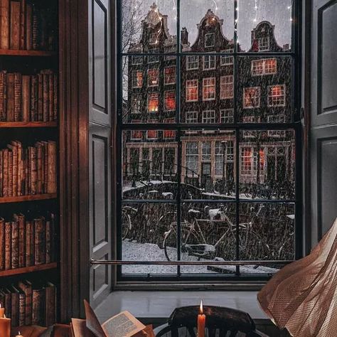 Dream Library, Library Aesthetic, Home Library Design, Dark Academia Aesthetic, Academia Aesthetic, Jolie Photo, Winter Aesthetic, Home Library, Autumn Aesthetic