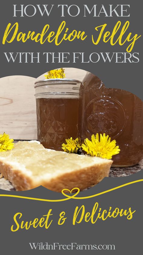 dandelion jelly Dandelion Jelly Recipe, Beautiful Yellow Flowers, Dandelion Tea, Dandelion Jelly, Jelly Recipe, Jelly Recipes, Tea Tasting, Flower Food, Jams & Jellies