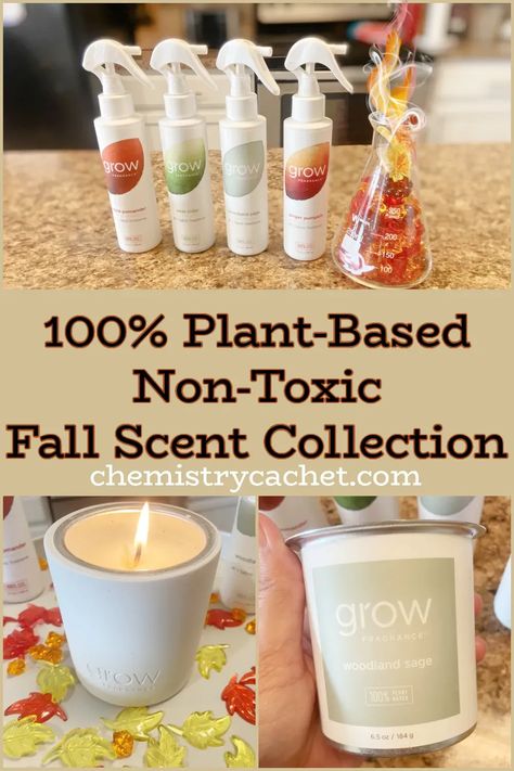 Fall in love with these plant-based autumn scented room sprays and candles! Crafted with pure, non-toxic ingredients, these enchanting autumn fragrances elegantly combine Mother Nature's finest scents- from a crisp pear to smooth pumpkin ginger. Transform your space into an autumnal haven with the Grow Fragrance collection's untamed, wild essence. Don't miss out! Follow Chemistry Cachet for more science-based home hacks and skincare tips. Home Fragrance Diy, Non Toxic Home, Toxic Household, Diy Fragrance, Expensive Beauty Products, Fall Fragrance, Fabric Spray, Room Sprays, Fall Spices