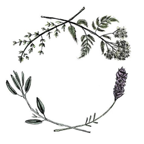 sarahmould: Yarrow, sage, lavender, thyme healing wreathBuy... Herb Tattoo, Herb Wreath, 4 Tattoo, Blog Art, Botanical Tattoo, Bee Tattoo, Healing Herbs, Skin Art, Piercing Tattoo