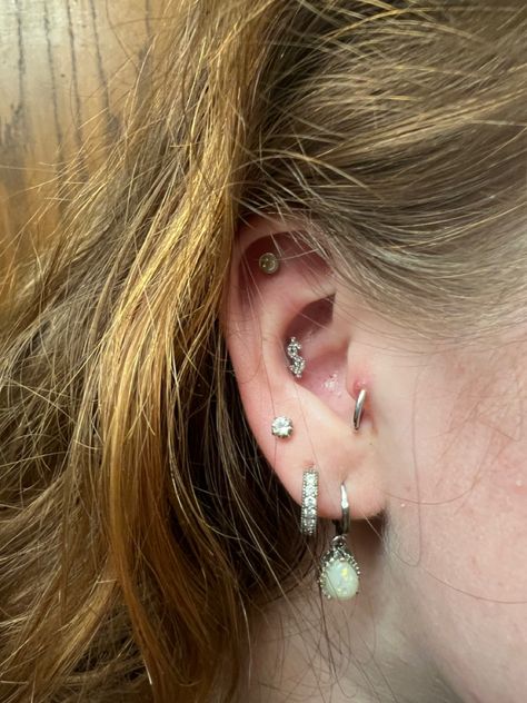 conch, flat, (healing) tragus, 3 lobes Conch And Flat Piercing, Flat Piercing, Tragus, Conch, Piercings, Diamond Earrings, Healing, Quick Saves