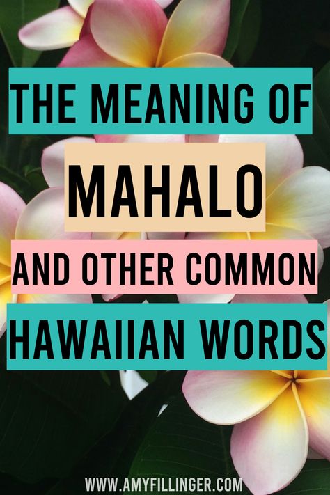 What is the meaning of Mahalo? This post shares the meaning of Mahalo and the meaning of common Hawaiian words. You need to check this out before your Hawaii vacation #hawaiivacation #hawaiianwords #mahalo #hawaiitrip #hawaiitraveltips Hawaii Words And Meanings, Hawaiian Words, Aloha Meaning, Hawaiian Words And Meanings, Hawaiian Phrases, Best Hawaiian Island, Hawaii Vacation Tips, Phrase Meaning, Happy Hour Specials