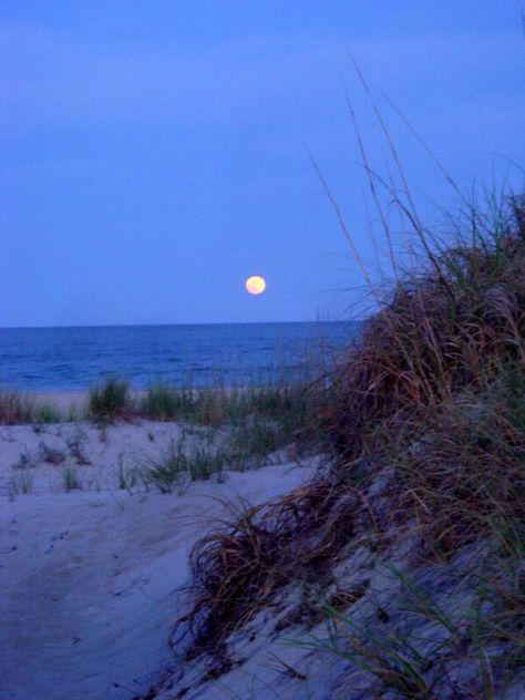 Hatteras Island Hatteras Island Nc, Study Island, New England Aesthetic, Ocracoke Island, Outer Banks North Carolina, Hatteras Island, Hometown Pride, North Carolina Travel, Set Design Theatre