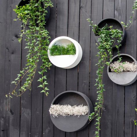 Wall Planters Outdoor, Mediterranean Garden Design, Diy Privacy Screen, Hanging Wall Planters, Planter Beds, Pottery Pots, Indoor Herb Garden, Hanging Planter, Wall Planter