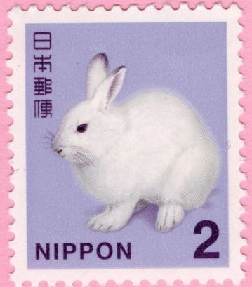 Japanese Stamp, Art Collage Wall, White Rabbit, Room Posters, Postage Stamp, Pics Art, 귀여운 동물, Wall Collage, Cute Icons