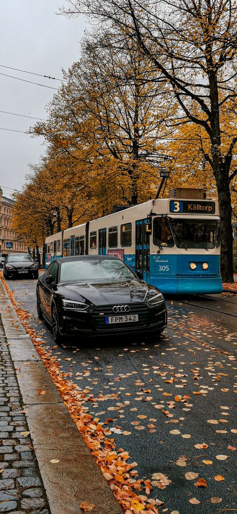 Automen leaves falling aesthetic of vintage streets University Of Gothenburg, Gothenburg Aesthetic, Fit Moodboard, Gothenburg University, Leaves Falling, Gothenburg Sweden, Uni Life, Gothenburg, Stockholm Sweden