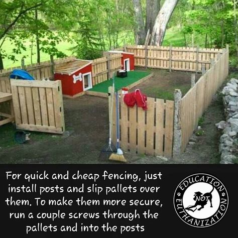 Do you have a yard that isn't fenced? Here's an easy way to build a temporary fence fast and cheap. Many buildings will let you have their pallets. If you own a large dog make the pallet fence 2 pallets high so they can't jump out. Do your whole yard or just do an area for your dog to run in. Unfenced yards are a big hazard to your dog, they can get loose and become hit by a car, they can be stolen easily, and they can be hurt easily by people walking by. Dog Pen Outdoor, Diy Dog Fence, Backyard Dog Area, Kennel Diy, Building A Dog Kennel, Cheap Dog Kennels, Temporary Fence, Yard Ideas Backyard, Diy Dog Kennel