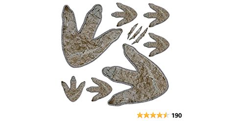 Amazon.com: 64 Pieces Dinosaur Decor Dinosaur Footprints Floor Decals Peel and Stick Dinosaur Track Stickers Removable Dinosaur Tracks Wall Decals Vinyl Footprints Wall Decal for Baby Nursery Bedroom Home Decor : Baby Dinosaur Fossil Wall, Baby Nursery Decals, Baby Wall Stickers, Dinosaur Wall Decals, Floor Decals, Dinosaur Tracks, Dinosaur Footprint, Paw Print Stickers, Dinosaur Theme Party