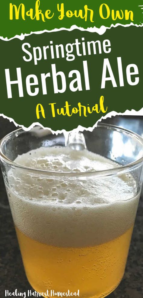 Ale Recipe, Cooking From Scratch, Healthy Probiotics, Probiotic Drinks, Homemade Beer, Fermentation Recipes, Home Brew, Fermented Drink, Peach Recipe