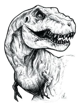 Dino Drawing, Dinosaur Sketch, Dinosaur Tattoos, Dinosaur Images, Dinosaur Drawing, Dinosaur Illustration, Dinosaur Coloring, Dinosaur Art, A Dinosaur