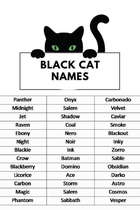 Black Kitten Names, Witchy Pet Names, Magical Cat Names, Name For Black Cat, Male Black Cat Names, Cat Names Witchy, Cute Unique Baby Names, Black Cat Names, Cat Symbolism