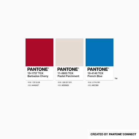 Pantone Colour Combinations, Red White Blue Color Palette, French Color Palette, Paris Color Palette, Colour Dictionary, Deep Winter Palette, Barbados Cherry, Pantone Color Chart, Hotel Floor Plan