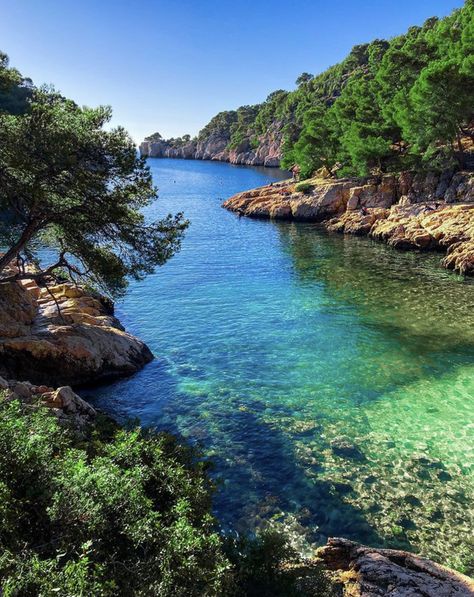 Calanque de Port Pin à Cassis South France, France, Nature