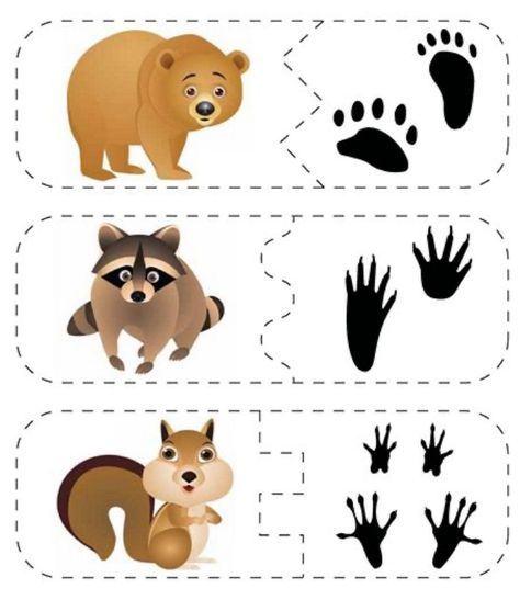 Winter Animal Crafts, Animal Footprints, Animal Printables, Animal Tracks, Animal Crafts For Kids, Fair Play, Animal Activities, Forest School, Winter Animals