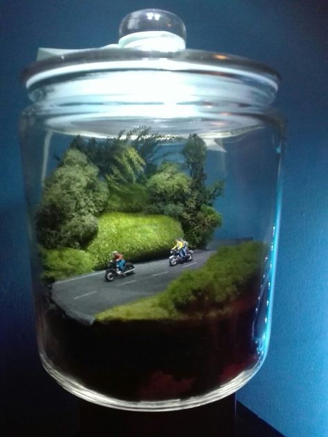 Diorama Ideas Scene, Miniature Diorama Scene, Terrarium Scene Ideas, Mini Scenes Dioramas, Terrarium Ideas Unique, Succulent Plants Indoor, Glass Jar Diy, Diorama Terrarium, Terrarium Scene