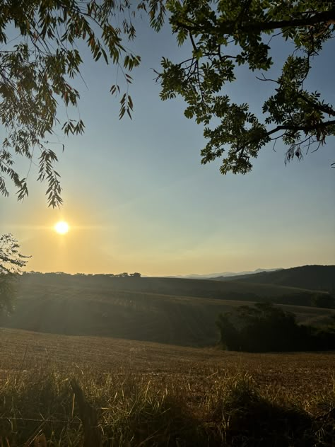 Farm Astethic, Moon Lit Night, Farm Background, Wheat Field, Wheat Fields, My Year, Country Girl, Country Girls, House Inspo