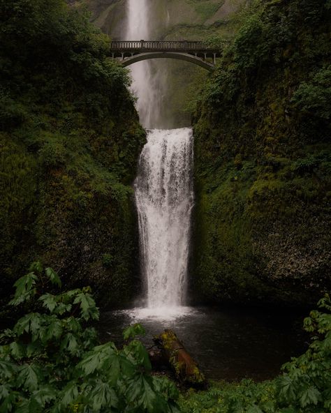 —— Went to Oregon twice back to back this summer and it still wasn’t enough! Can’t wait to explore more of this beautiful state sometime🌲🌊 Been practicing some of my nature photography so here’s the latest from the most epic road trip with @sarahlhansenn + @rachelleavittt. Best time ever. Some of my favorite spots: 🌲Toketee Falls 🌲Cannon Beach 🌲Airplane Home 🌲Bend 🌲Crater Lake 🌲Umpqua Hot Springs 🌲Natural Bridges 🌲Multnomah Falls Save for future travels!! And then we did the coast a ... Toketee Falls, Airplane Home, Umpqua Hot Springs, Multnomah Falls Oregon, Visit Oregon, Cannon Beach Oregon, Multnomah Falls, Waterfall Hikes, Crater Lake