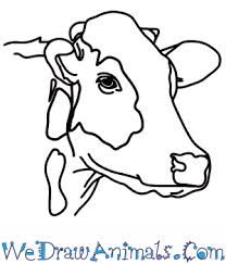 How to Draw a Cow Head Draw A Cow, Saw Art, Jesus Drawings, Cow Head, A Cow, Watercolor Animals, A B C, Pyrography, Painting Ideas