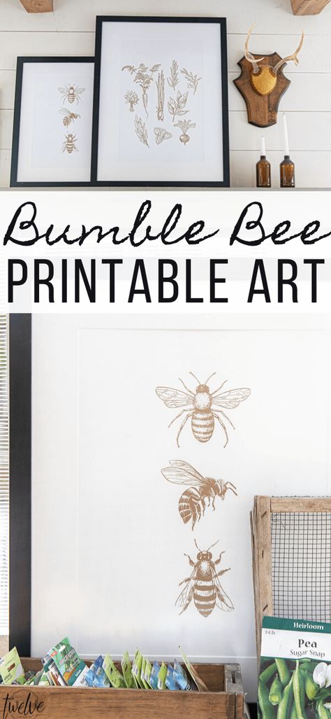 Get this adorable bumble bee printable art for FREE!  This is the perfect artwork to add to your home for the summer! Spring Wall Art Free Printables, Free Printable Spring Wall Art, Free Honey Bee Printables, Bee Design Art, Honey Bee Kitchen Decor, Printer Crafts, Circuit Joy, Bee Stuff, Bee Printables