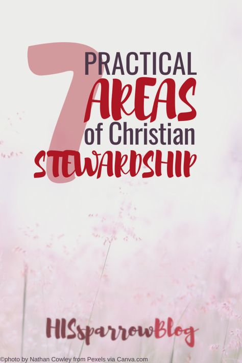 7 Practical Areas of Christian Stewardship - HISsparrowBlog Spiritual Disciplines Christian, Grace Christian, The Older I Get, Christian Devotions, Christian Marriage, Best Blogs, Christian Women, Christian Books, Bible Encouragement