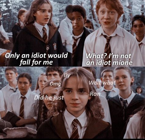 Harry Potter And His Friends, Harry Potter Quotes Funny, Harry Potter Goblet, Funny Harry Potter Jokes, Potter Head, Harry Potter Memes Hilarious, Harry Potter Spells, Harry Potter Feels, Harry Potter Puns