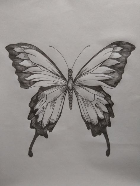 Butterfly Sketch Ideas, Buterfluffy Drawings, Aesthetic Butterfly Sketch, Butterfly Sketch Pencil, Butterfly Drawing Pencil, Butterfly Drawing Sketches, Butterfly Easy Drawing, Drawing Ideas Butterfly, Butterfly Pencil Drawing