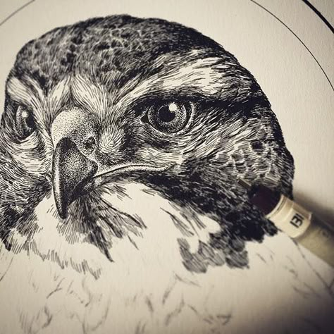 Pencil Drawing On Black Paper, Animal Art Drawing, Ink Drawing Techniques, Stippling Art, Black And White Art Drawing, Bird Artwork, Arte Inspo, Ink Sketch, Ink Illustrations