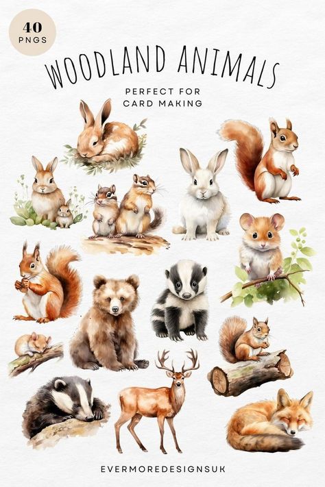 Illustrations showcasing how different forest animals contribute to their ecosystem, ideal for educational use. Animal Stickers Free Printable, Woodland Tattoo, Embroidery Hoop Designs, Forest Animals Illustration, Wild Animals Vector, Woodland Clipart, Watercolour Nursery Art, Watercolor Party, Woodland Animal Art